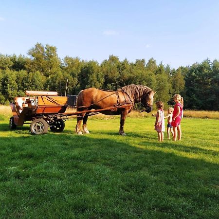 Smoldzinski Forest Smoldzinski Las Ngoại thất bức ảnh